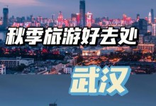 《攻略橙光天下第一楼，成就无敌豪杰》（征战橙光天下，一步登顶荣耀巅峰）