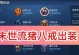 张大仙教你如何正确选择妲己出装（无敌战队王者张大仙亲授，攻略妲己出装大全）