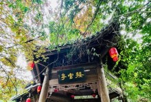 探秘禹王宫副本的惊艳风光（玩转禹王宫副本，领略古老文化的魅力）