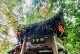 探秘禹王宫副本的惊艳风光（玩转禹王宫副本，领略古老文化的魅力）