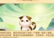 梦幻手游通宝攻略（玩转梦幻手游，掌握通宝攻略，财富从此不再遥远！）