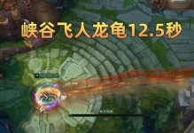 《龙龟极速出装攻略》（龙龟出装技巧全解析，让你速战速决！）