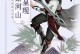 《古剑奇谭手游流浪攻略大全》（打造最强流浪阵容，征服剑气纵横的世界）