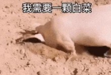 以活下去手游攻略（揭秘最新表情包动态技巧，让你在游戏中轻松生存！）