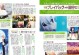 Rewrite攻略手游（成为顶尖玩家的必备攻略指南，从零开始掌握Rewrite的奥秘！）