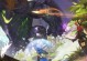 龙之谷手游魔王攻略（挑战无敌魔王，探索冒险世界！）