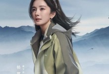 《黑暗世界29天攻略》——揭秘黑暗世界的隐藏秘密（黑暗世界29天攻略，探索未知领域的必备指南）