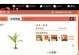 《摇钱树手游攻略大揭秘！》（打造财富王者，从摇钱树手游开始！）