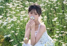 追寻雏菊之美（探秘摄影胜地，发现雏菊花海的魅力）