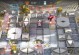 方舟攻略手游（逆袭末世，征服方舟！）