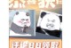 《热血海贼王星盘攻略——揭秘无尽海洋的宝藏》（探索新世界的关键指南，成为真正的海贼王！）