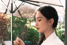 《解密NDS刑警.j攻略》（掌握关键技巧，成为顶尖刑警）
